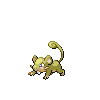 Shiny Rattata